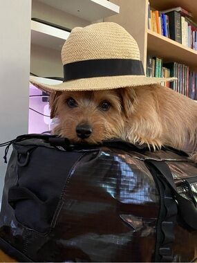 Meet your Posher, Lily 🪷